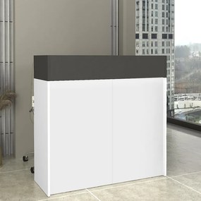 Wilko TopMebel меламиново бюро за рецепция с LED в бял - антрацит цвят 113.6x42x110cm.