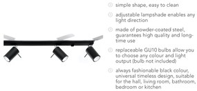 Черно таванно осветително тяло 4L Etna - Sollux