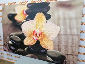 Картина на платно – Жълта орхидея и Зен камъни