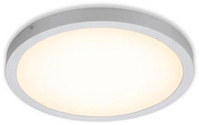 Briloner 7143-014 - LED Плафон FIRE LED/24,5W/230V 3000K