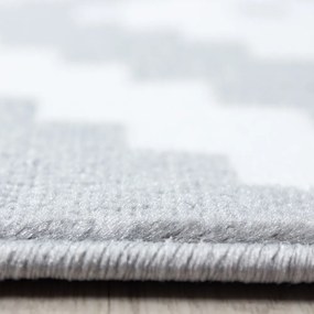 Светлосив килим 80x150 cm Plus – Ayyildiz Carpets