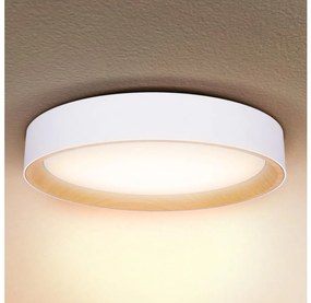 Brilagi -LED Димируема лампа LARIOS LED/60W/230V 3000-6500K ø 49 см бял + д.у.