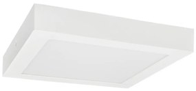 LED Плафониера FENIX LED/24W/230V 2900/3900/5800K 29,5x29,5 см бял