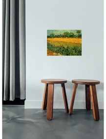 Репродукция на Винсент ван Гог - , 40 x 30 cm View of arles with irises in the foreground - Fedkolor