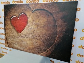 Картина на платно – Сърце на пън