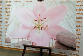 Картина на платно – Розова лилия и дзен камъни