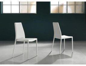 Бели трапезни столове в комплект от 2 броя Lion - Tomasucci