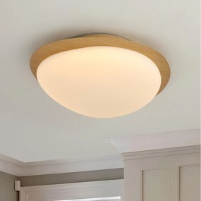 Brilagi - LED таванно осветително тяло VISBY WOOD LED/18W/230V Ø 38 см в кафяво