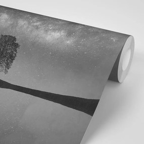 Фототапет – Черно-бяло звездно небе над самотно дърво