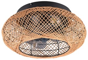 Кафяво осветително тяло за таван с дистанционно управление/с вентилатор Lillesand – Trio