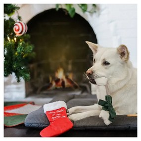 Играчка за куче Чорап с изненада - P.L.A.Y.