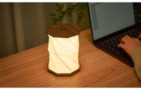 Кафява светлинна декорация с USB ø 12 cm Twist Hexagon – Gingko