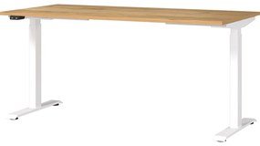Работна маса с електрическо регулиране на височината с дъбов плот 80x160 cm Jet – Germania