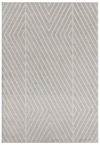 Светлосив килим 120x170 cm Muse - Asiatic Carpets