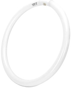 Флуоресцентна тръба T9 G10q/40W/230V 6500K - Aigostar