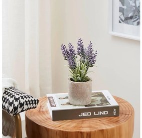 Eglo 428031 - Изкуствено растение CHITOSE 22x8 см в саксия, лавандула