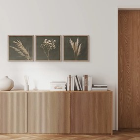 Картини в комплект 3 бр. 30x30 cm Pampas – Styler