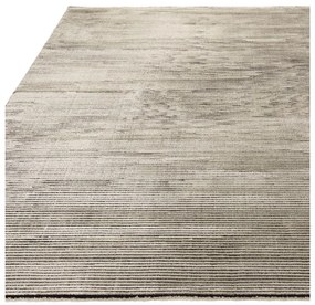 Килим в цвят каки 200x290 cm Kuza – Asiatic Carpets