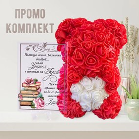Промо комплект мече и акрилна картина за учител
