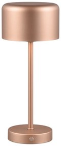 LED настолна лампа с възможност за димиране от мед (височина 30 cm) Jeff - Trio
