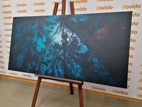 Картина на платно – Гора под нощно небе