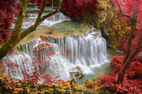 Фототапет – Горски водопад
