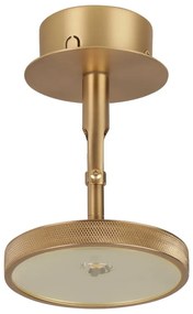 LED прожектор в златист цвят ø 12 cm Asteria Spot – UMAGE