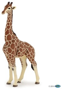 Papo - Фигурка Giraffe Male 50149