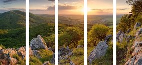 картини от 5 части – Природа залята от слънце