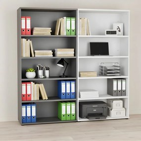 Библиотека Librara-Leuko