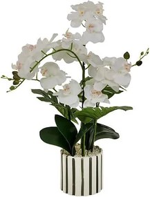 Изкуствено растение atmosphera Orchid Asia, 62 cm, Керамика