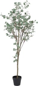 Изкуствен евкалипт (височина 180 cm) Eucalyptus – Ixia