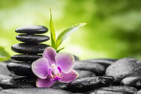 Фототапет – Медитационна зен композиция