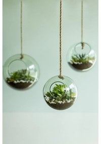 Стъклен аерариум ø 15 cm – Esschert Design