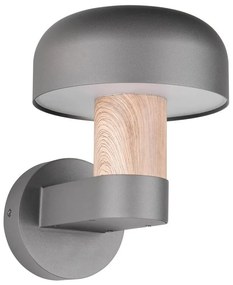 Стенно външно осветително тяло (височина 24,5 cm) Fraser – Trio