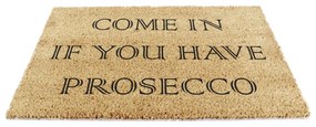 Изтривалка от кокосови влакна 40x60 cm Prosecco – Artsy Doormats