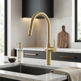 Смесител за кухня Rea Fresh High Gold Brush