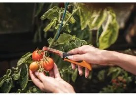 Fiskars - Сгъваем нож за прибиране на реколта K80