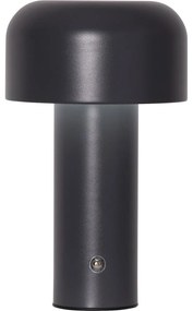 Сива LED настолна лампа (височина 21,5 cm) Bobby – Star Trading