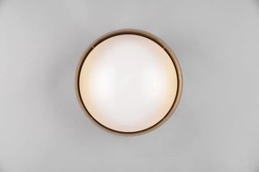 Светлокафяво LED осветление за таван ø 30 cm Locarno - Reality