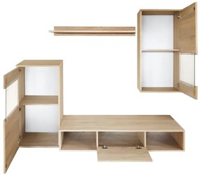 Холна секция Rico