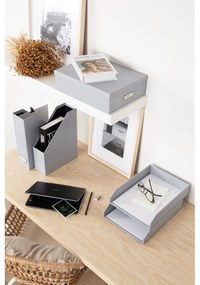 Картонени органайзери за докумнети в комплект от 5 бр. Holger – Bigso Box of Sweden