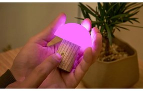 LED затъмняваща се настолна лампа от масивен ясен в естествен цвят (височина 7 cm) Alice – Gingko