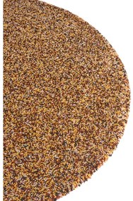 Кръгъл килим в бронзов цвят ø 120 cm Shag - Hanse Home