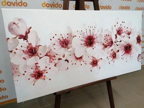 Картина на платно – Черешови цветя