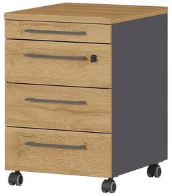 Дъбов шкаф в естествен цвят 42x61 cm Agenda - Germania