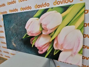 Картина на платно – Пастелно розови лалета