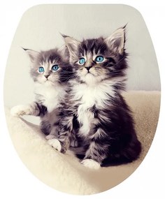 Тоалетна седалка ICST 800