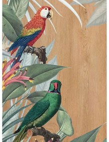 Рисуване Red &amp; Green Parrots Μ