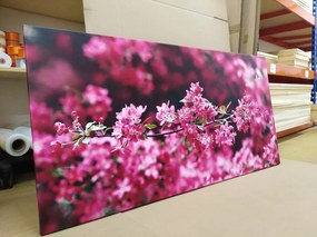 Картина на платно – Детайлни цветове на череша